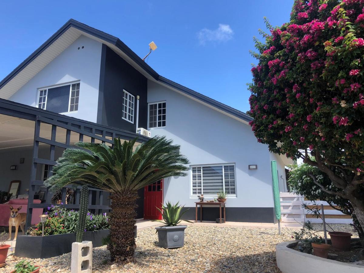 Palmhouse Apartments Aruba 1- 4 Persons Savaneta Eksteriør bilde
