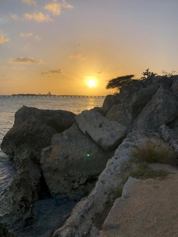 Palmhouse Apartments Aruba 1- 4 Persons Savaneta Eksteriør bilde