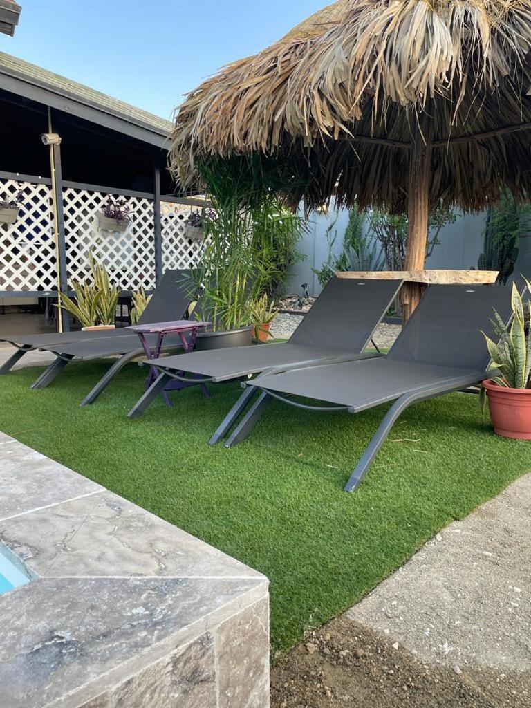 Palmhouse Apartments Aruba 1- 4 Persons Savaneta Eksteriør bilde