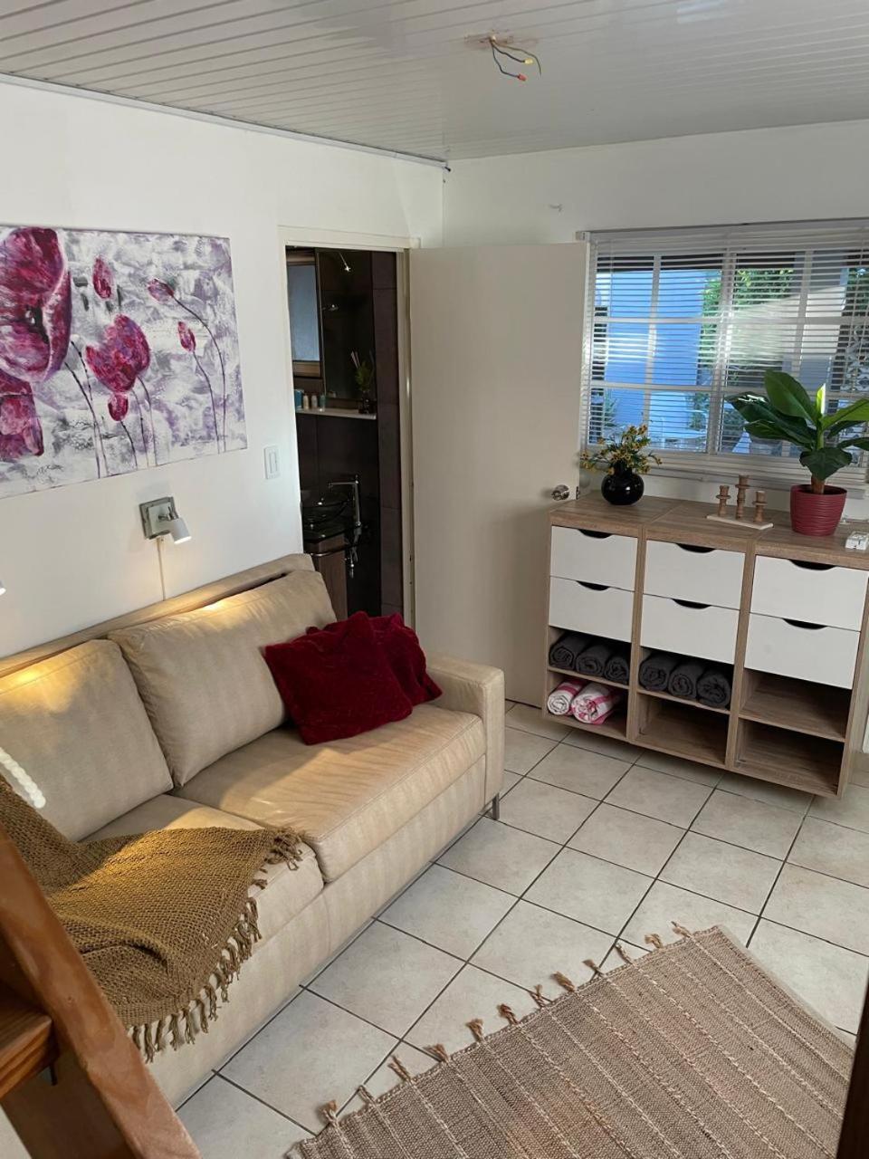 Palmhouse Apartments Aruba 1- 4 Persons Savaneta Eksteriør bilde