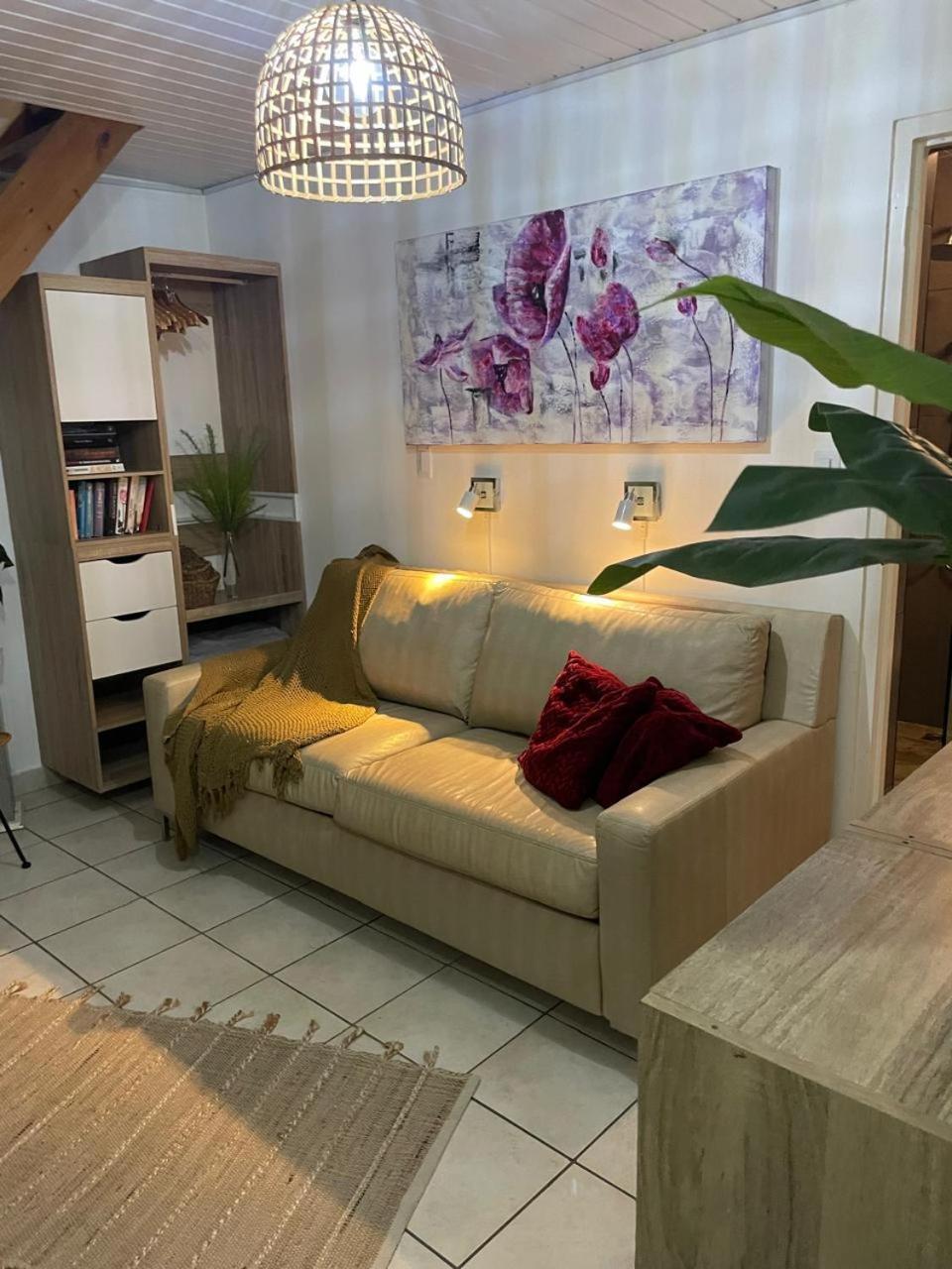 Palmhouse Apartments Aruba 1- 4 Persons Savaneta Eksteriør bilde